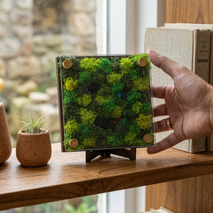 Forest Memoir Live Moss Frame