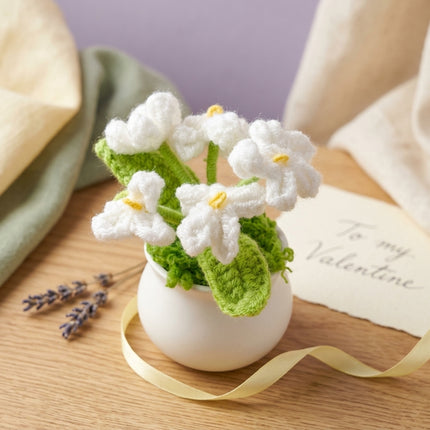 Crochet Mini Flower Pot - White